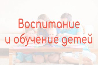 частный детский сад Алфавит Нижний Новгород